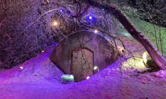 LKK absolvents iegūst 1. vietu LU Botāniskā dārza “Ziemas Gaismas dārzs” konkursā